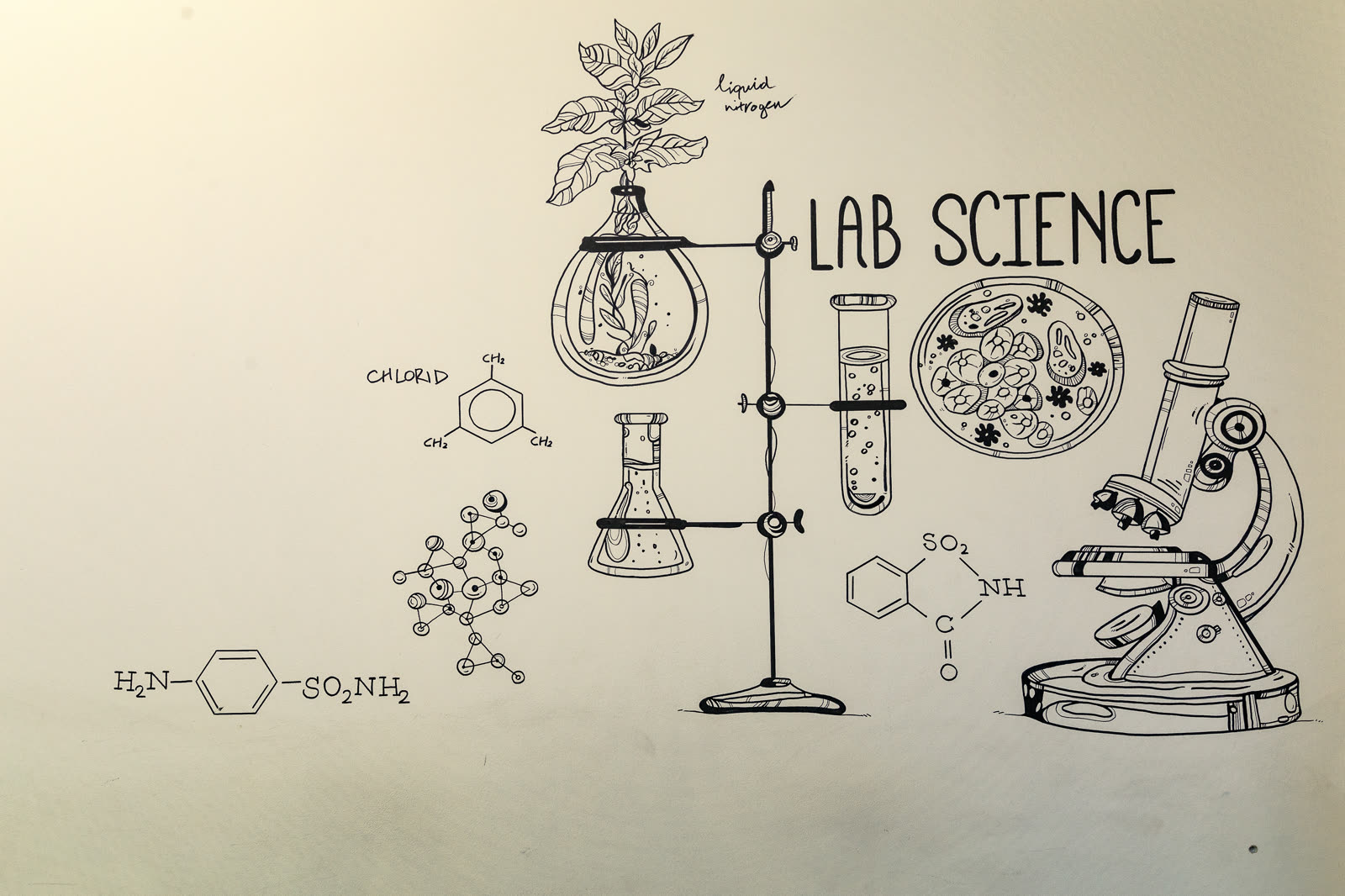 LAB SCIENCE — τοιχογραφία στους χώρους των εργαστηρίων